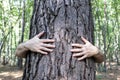 Male hands hugging tree trunk. Save the planet and stop deforestation concept. Royalty Free Stock Photo