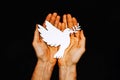 Male hands with paper dove on black background. Pace in Ukraine, symbol for end of the Conflict in Europe between Russia and