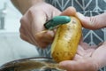 Male hands peeling fresh potato with peeler over bowl closeup. Food scrap, separate waste collection, zero waste.