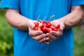 Cherry in hand Royalty Free Stock Photo