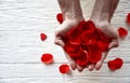 Male hands with red rose petals on a white wooden background. Royalty Free Stock Photo