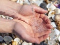 Male hands under a stream of water Royalty Free Stock Photo