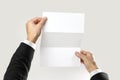 Male hands in white shirt and black jacket holding a white booklet triple sheet of paper. Isolated on gray background. Closeup