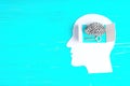 Male Head Silhouette with Opening to Steel Brain Model and Key Royalty Free Stock Photo