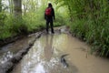 A male hiker with rucksack back to camera. Standing on a track, reflecting in a muddy puddle. On wet day in a summer woodland.