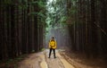 Male hiker stands on a winding road in the mountains with a backpack on his back against the backdrop of a beautiful misty forest Royalty Free Stock Photo