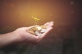 Male holding money gold coins with plant in his hand