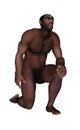 Male erectus asking - 3D render Royalty Free Stock Photo