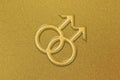 Male Homosexuality Symbol, Gay glyph, Doubled male sign Royalty Free Stock Photo