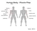Male Human Body Muscle map Royalty Free Stock Photo