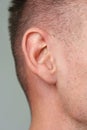 Male human ear close-up shot on gray background Royalty Free Stock Photo