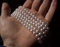 Numerous strands of cultured Japanese Akoya pearls. Royalty Free Stock Photo