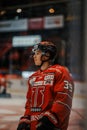 Male ice hockey player in a red uniform looking away during professional match