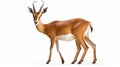 Male impala isolated on white background. generative ai Royalty Free Stock Photo