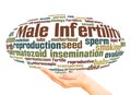 Male Infertility word cloud sphere concept