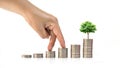 Male investor hand placed on coin pile and tree growing on coin pile on white background.