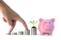The male investor`s hand is placed on a pile of coins and trees growing on a pile of coins and piggy bank on white background. Royalty Free Stock Photo