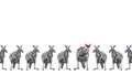 Male kangaroos in Christmas hats isolated on white background. Copy space Royalty Free Stock Photo