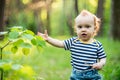 Male kid in forest in spring Royalty Free Stock Photo