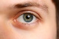 Male left green grey coloured eye extreme closeup Royalty Free Stock Photo