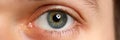 Male left green grey coloured eye extreme closeup Royalty Free Stock Photo