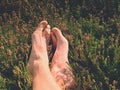 Male legs on dry heather bush. Tired legs on rocky peak bove landscape. Pure pink skin, clear nails. Royalty Free Stock Photo