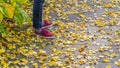 Male legs standing on wooden pawement with yellow autumn leaves