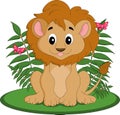 Male lion cub