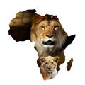 Male lion and cub portrait in Africa map on white Royalty Free Stock Photo