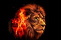 A male lion king made of fire, Generative AI Royalty Free Stock Photo