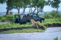 Male lion lies on riverbank by jeep