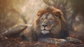 Male Lion Resting In Serene Savanna