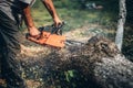 Lumberjack cutting fire wood using professional chainsaw Royalty Free Stock Photo