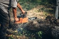 Lumberjack cutting fire wood using professional chainsaw Royalty Free Stock Photo