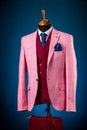 Male luxurious classic suit checkered pink jacket on dummy or mannequin on blue background