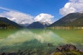 Male mallards swimming in Achensee lake in blue green shade of f Royalty Free Stock Photo