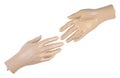 Male mannequin hand | Isolated