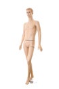 Male mannequin | Isolated