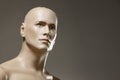 Male mannequin portrait