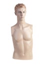 Male mannequin torso | Studio isolated Royalty Free Stock Photo