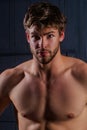 Male model body, nude torso. Naked man, seductive gay. Muscular shirtless man, attractive guy. Strong muscular topless Royalty Free Stock Photo