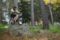 Male mountain biker riding bicycle in the forest Royalty Free Stock Photo