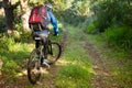 Male mountain biker riding bicycle in the forest Royalty Free Stock Photo