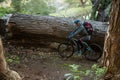 Male mountain biker riding bicycle in the forest Royalty Free Stock Photo