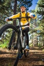 Male mountain biker riding bicycle in the forest Royalty Free Stock Photo