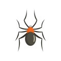 Male mouse spider icon, flat style