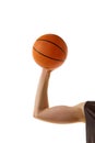 Male muscular hand, basketball athlete holding basketball ball isolated over white background. Poster. Sport concept Royalty Free Stock Photo