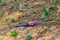 Male mwanza flat-headed rock agama (Agama mwanzae) or the Spider-Man agama Royalty Free Stock Photo