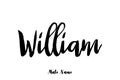 William Male Name Stylish Bold Grunge Typography Text Lettering Vector Design