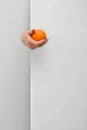 Male hand holding and offering orange fruit behind white wall background